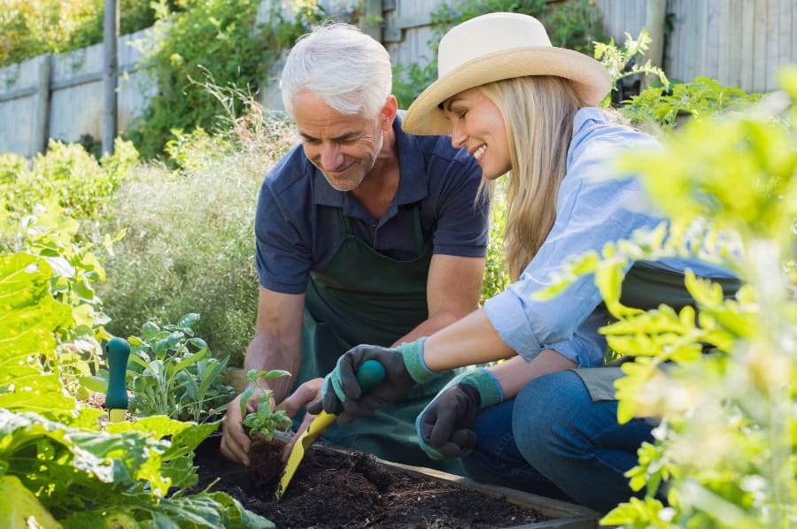 National Garden Month: Health Benefits of Gardening for Seniors
